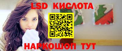 гидра Бердск