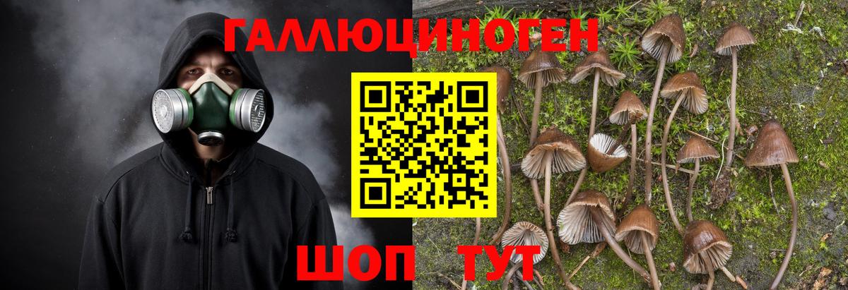 Псилоцибиновые грибы мухоморы Бор